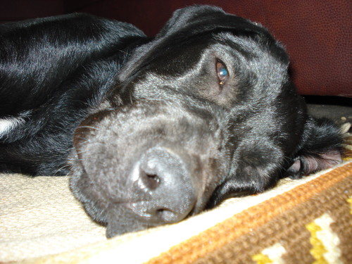 DSC00544.JPG DSC00544.JPG