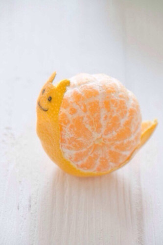 79816-Snail-Orange.jpg