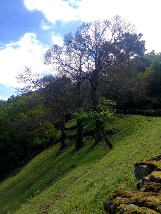 FullSizeRender.jpg FullSizeRender.jpg