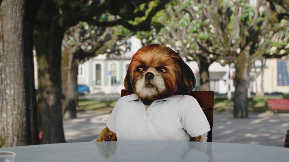 bruno aleixo.jpg bruno aleixo.jpg