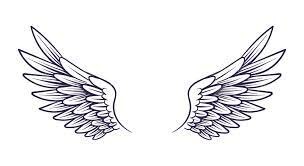asas de anjo.jpg