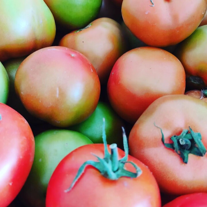 309107479_2418993414907072_2670255457669207413_n.j