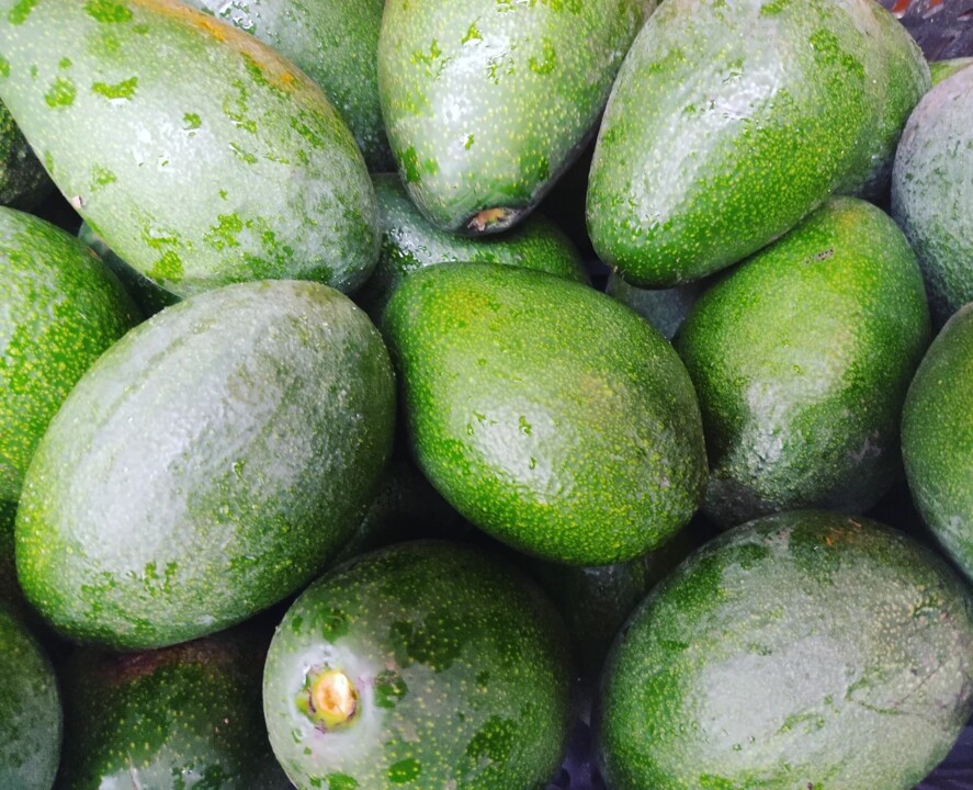 426626957_775071614650251_8137533445514443205_n.jp