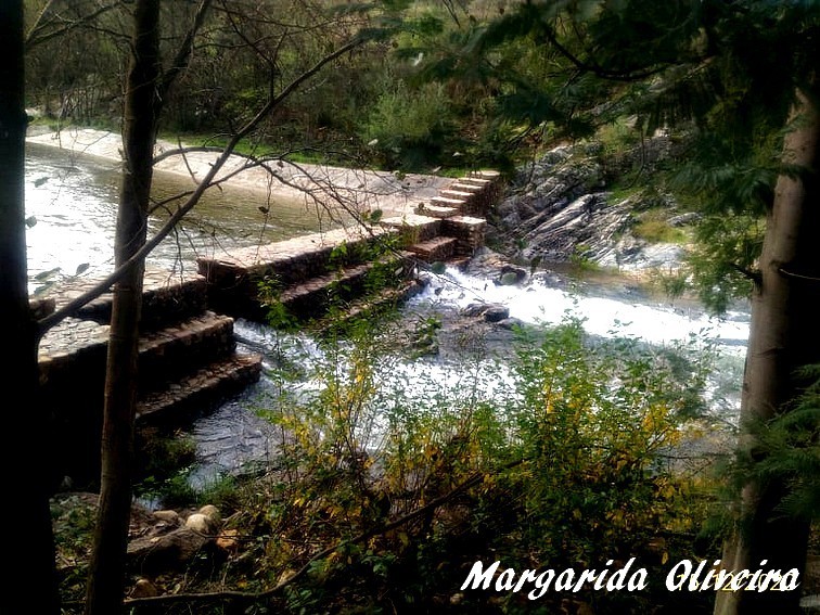 131474656_843338116431591_2434650784176745839_n.jp