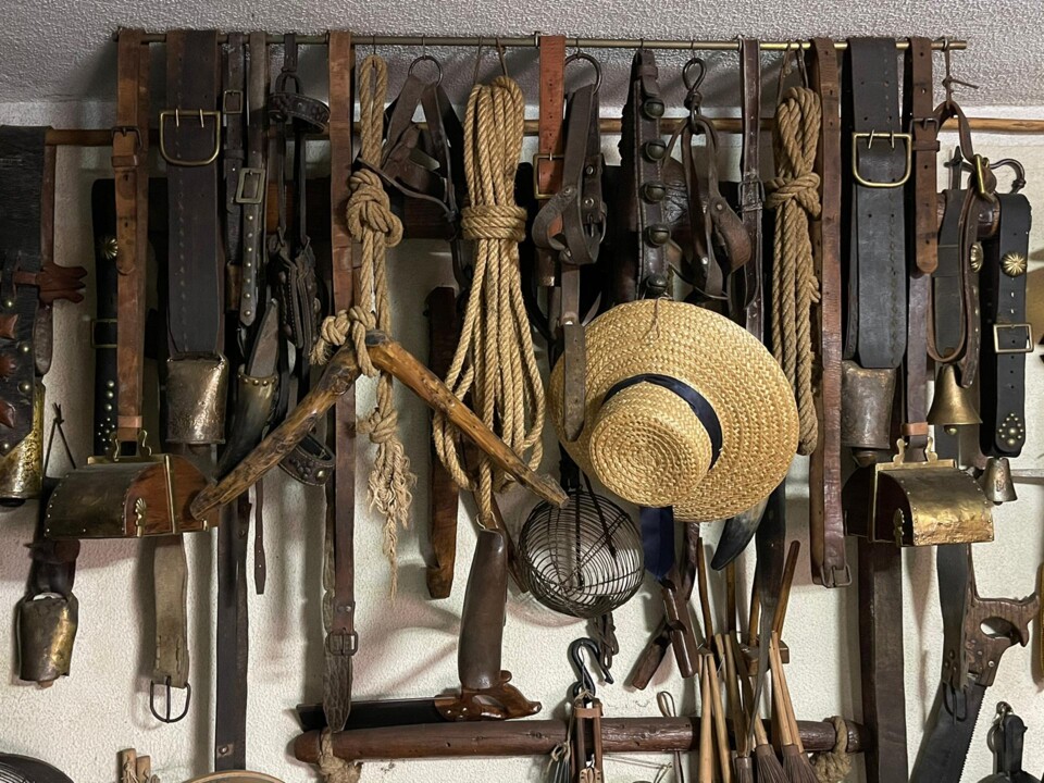 2022-07-15 1.º lugar - 1.º escalão_Podes largar