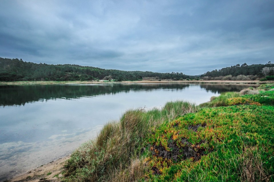 lagoa de obidos 7.jpg