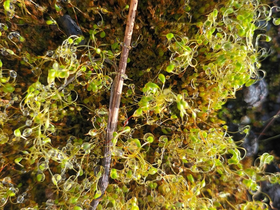 Não me canso disto Inverno 6.jpg