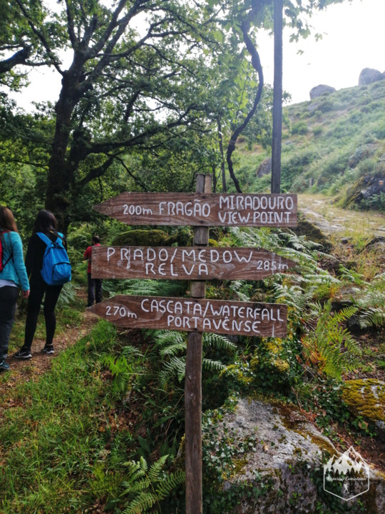 Photo_1597131835923.jpg Photo_1597131835923.jpg