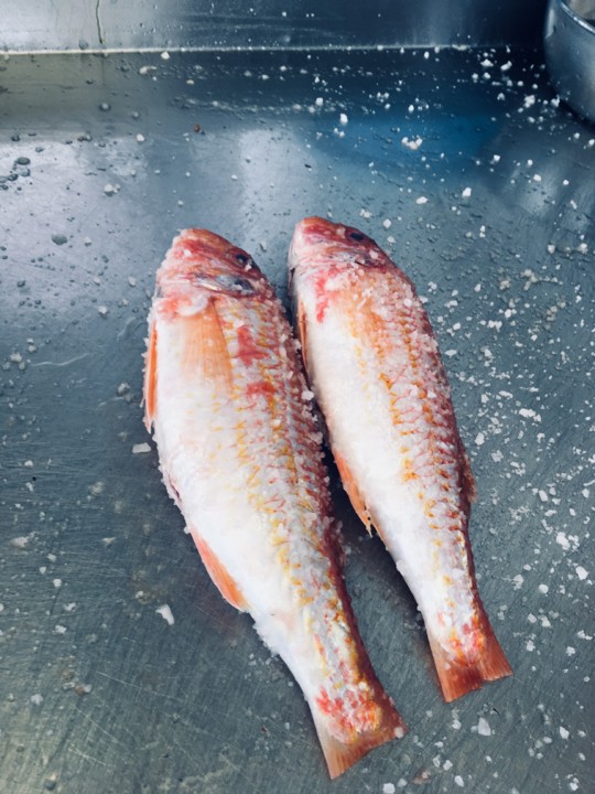 IMG_4422.JPG IMG_4422.JPG