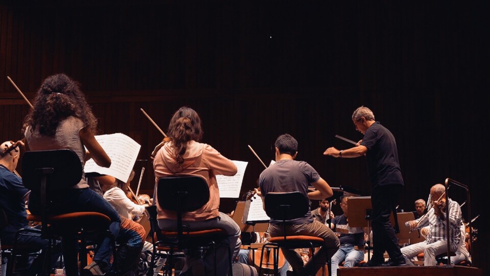 descarregar (6).jfif