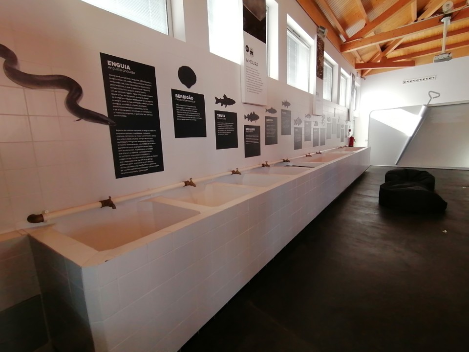 IMG_20200927_162502.jpg IMG_20200927_162502.jpg