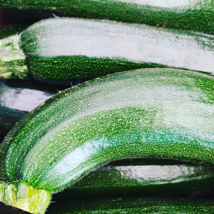 273558378_2236211546518594_7624291066262737624_n.j