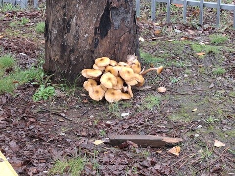 07a_Caminhada_a_solo (7).jpg