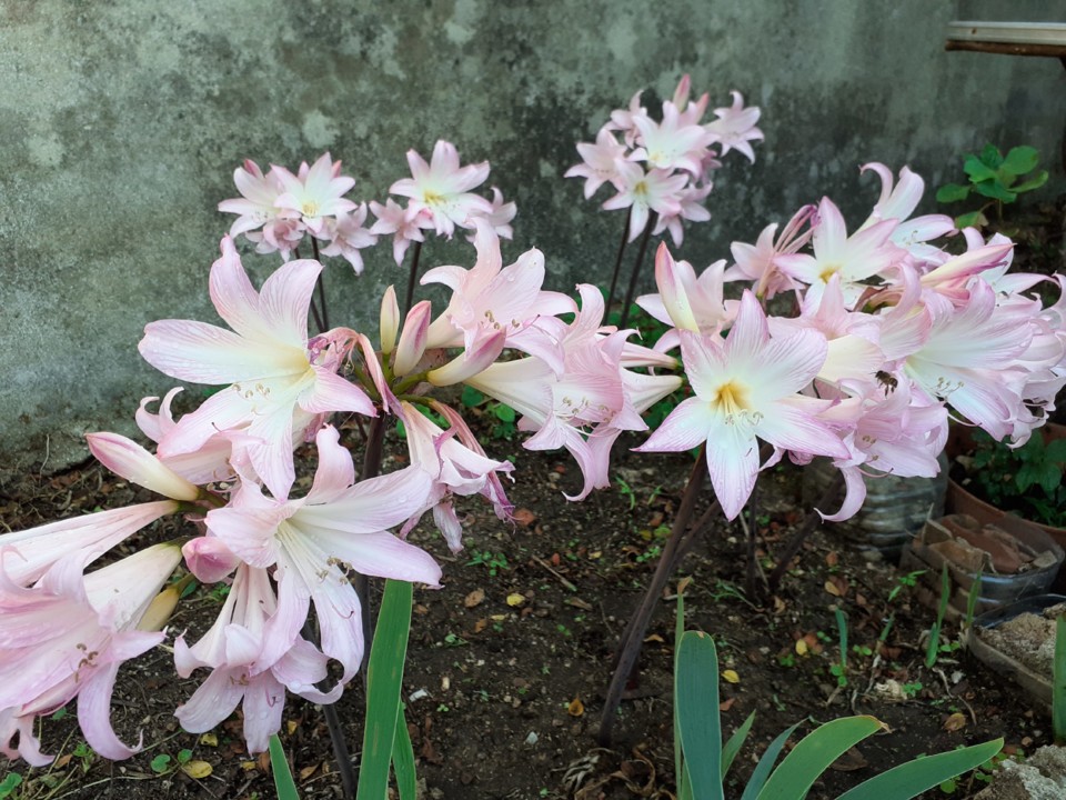 Despedidas de Verão. Foto Original. 2021.09.19.jpg