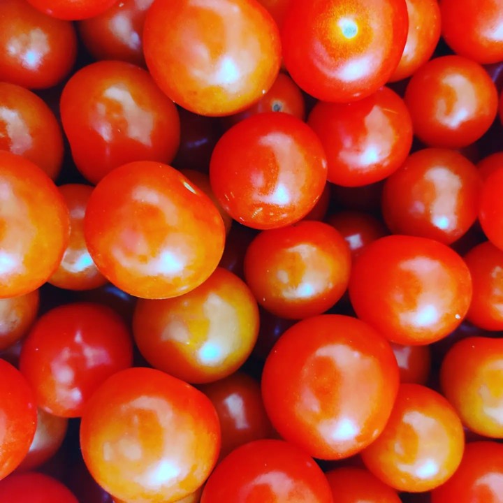 277813280_2277713309035084_3232994819559927470_n.j