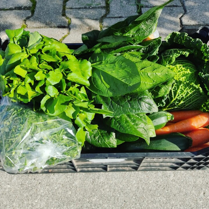 418995751_757159399774806_2585797997491832041_n.jp