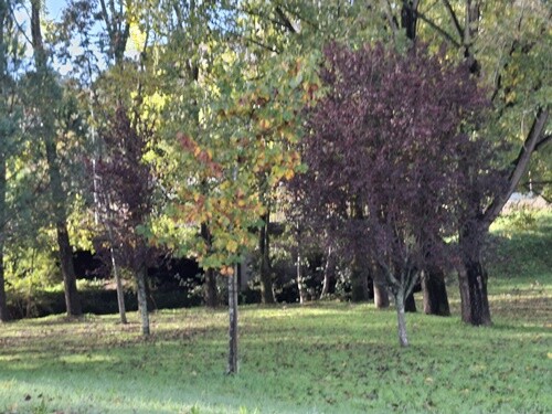 02a_Vale_de_Cambra (27).jpg