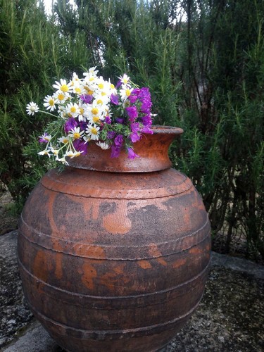 18209388_1310098522409129_3169264437463205654_o.jp 18209388_1310098522409129_3169264437463205654_o.jp