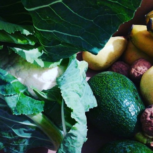 27071730_1564262313693505_7451331799688413184_n.jp 27071730_1564262313693505_7451331799688413184_n.jp