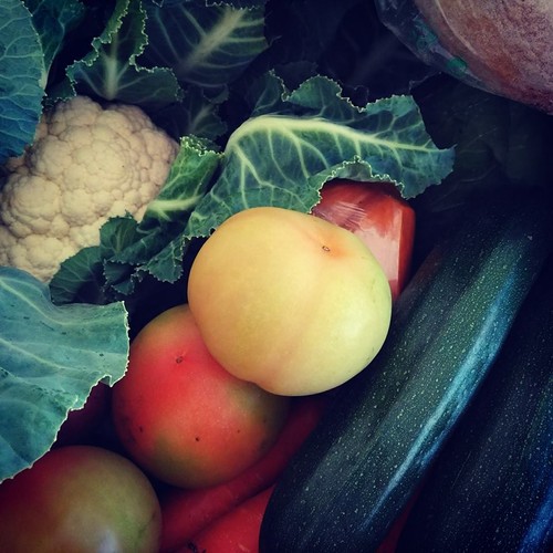 17760222_874689616004134_4027720386631853522_n.jpg 17760222_874689616004134_4027720386631853522_n.jpg