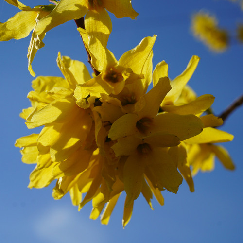 DSC03491.JPG DSC03491.JPG