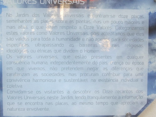 IMG_4467.JPG IMG_4467.JPG