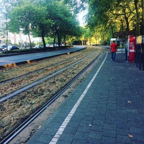 38792527_1927657087256048_5854060142642855936_n.jp