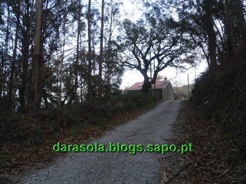 Trilho_Eiras_Famalicao_06.JPG