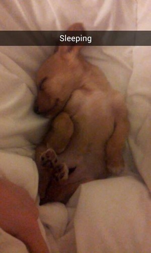 11145984_10200579263400675_1780871408_n (1).jpg