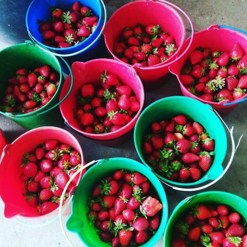 34411849_1106702179469542_5176739324707733504_n.jp