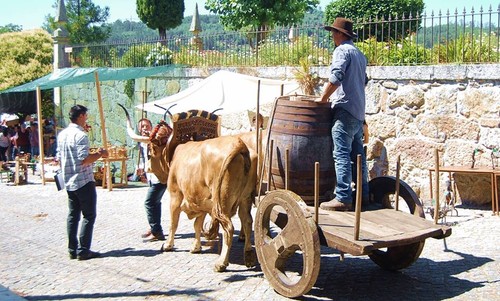 Padornelo Feira dos Tojais 2015 m.jpg