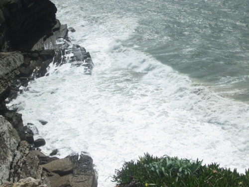 IMG_5596.JPG IMG_5596.JPG