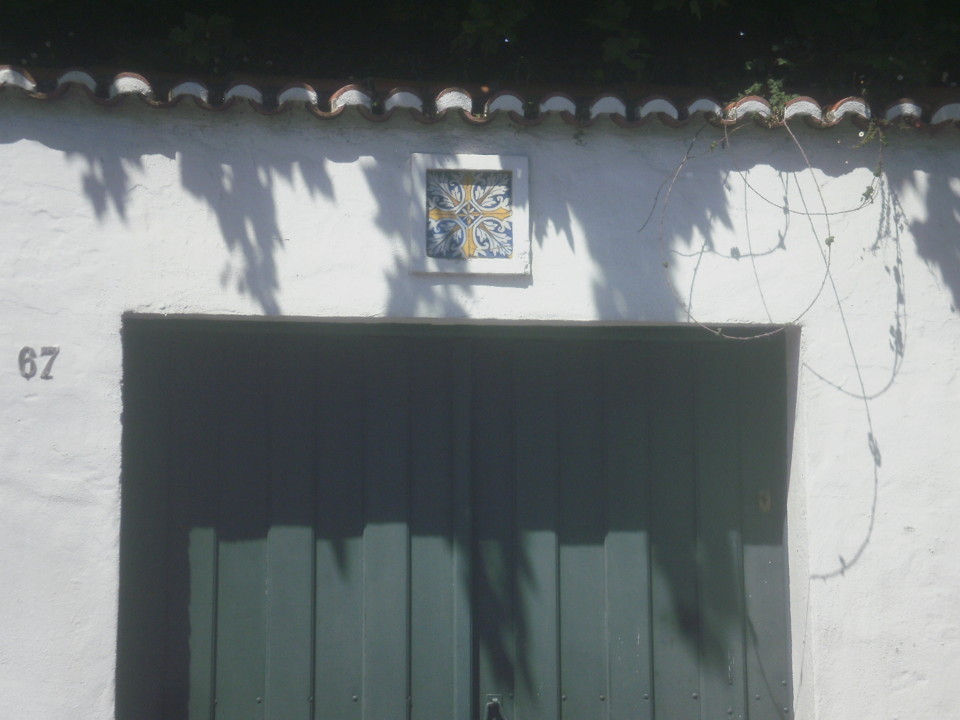 P4217925.JPG P4217925.JPG