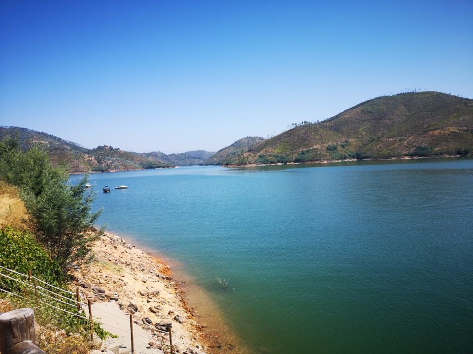 IMG_20200708_110952.jpg IMG_20200708_110952.jpg