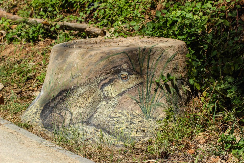 trilho das vinhas-21.jpg