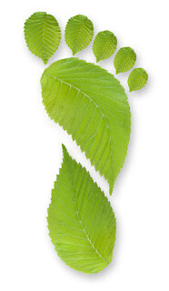 pegada-ecologica.jpg