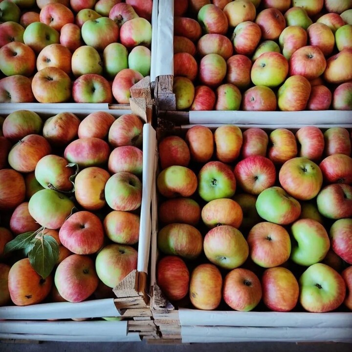 359753066_655733819917365_6864955305843737120_n.jp