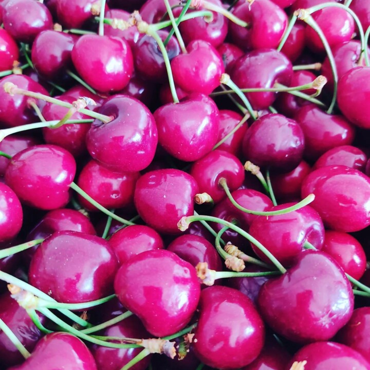 285837827_2328202923986122_3891239721933915731_n.j