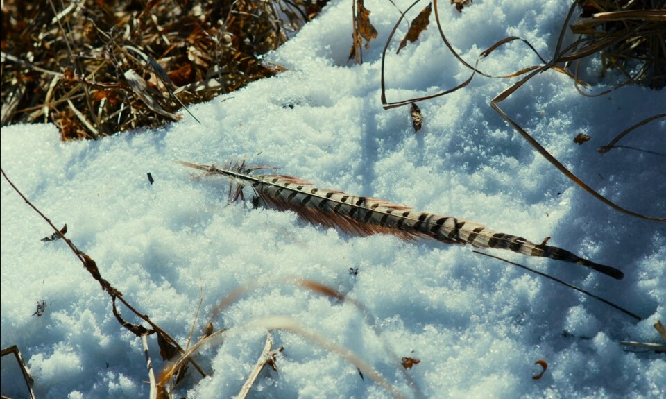 O mal nao esta aqui _ beleza 2.jpg