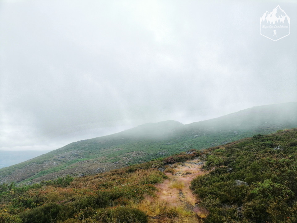 Photo_1597132322814.jpg Photo_1597132322814.jpg