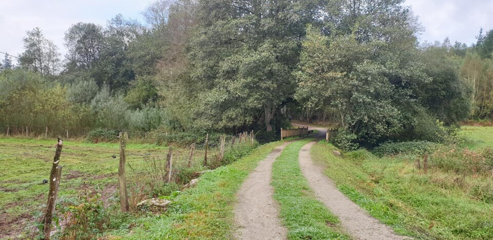 244529701_4584412538268743_6977345911626189374_n.j