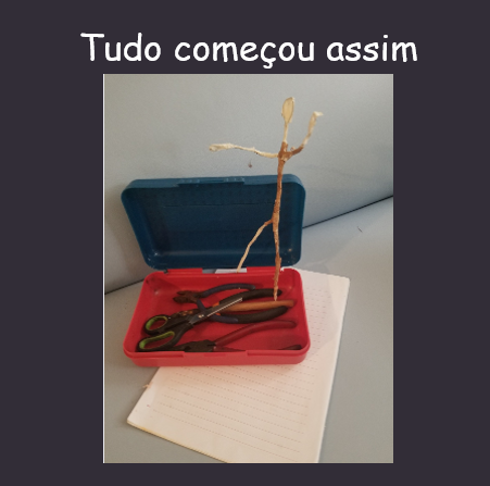 Começou assim_Blog.png
