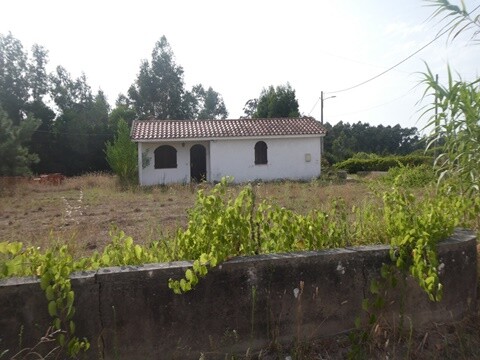 16b_Caminhada_Carromeu_e_Mira (13).JPG