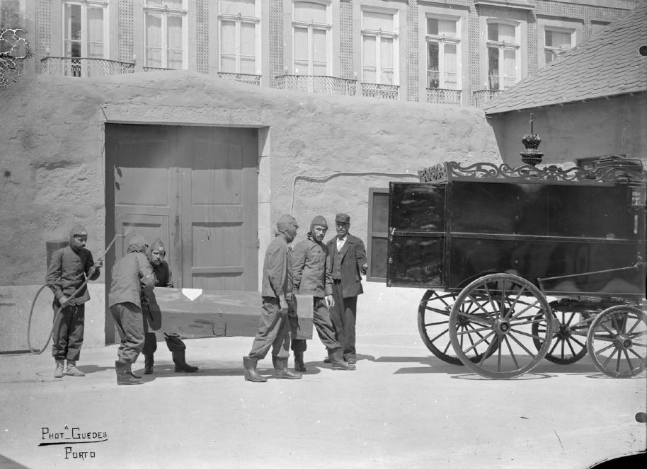 peste 5.JPG peste 5.JPG