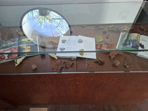 30a_Caminhada_a_Dois_PRU (10).jpg