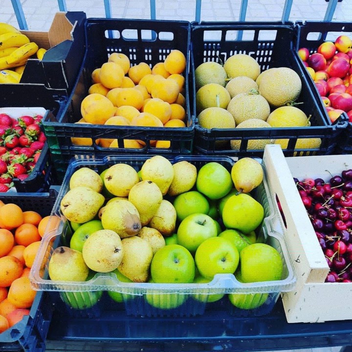 99420230_1708739625932458_4159206957481197568_o.jp