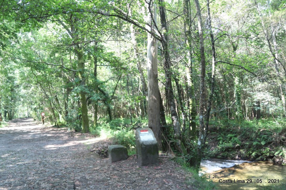 191504332_4450915801605418_4094436836508876976_n.j