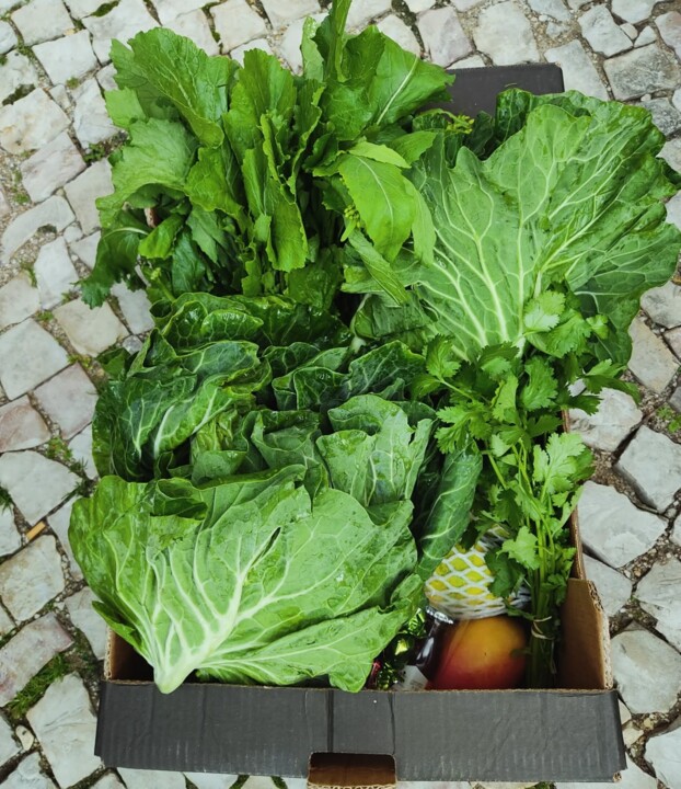 604196573_18518340364066958_7754934840241535748_n.