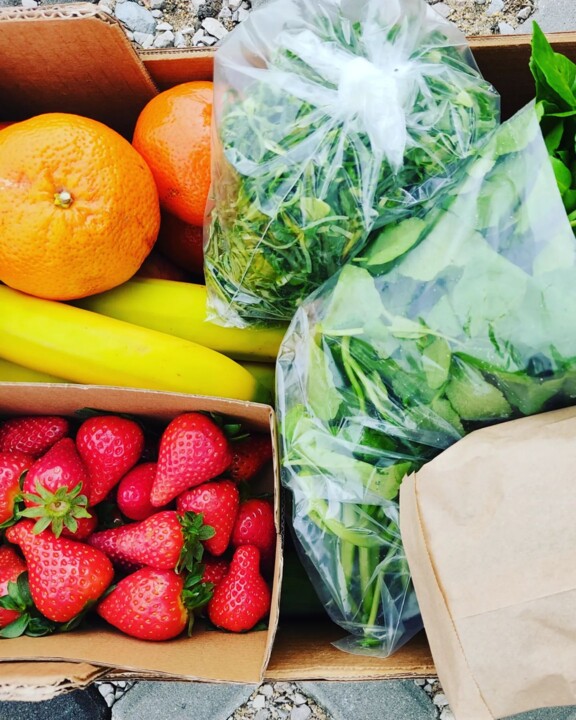 336533559_532285205692444_6280054221005076007_n.jp