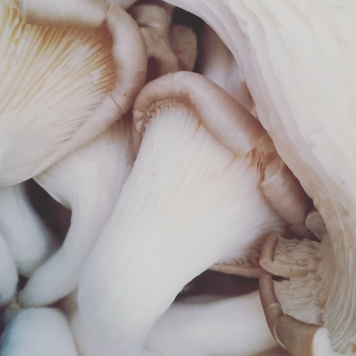 79728122_1547354328737656_3733029829579112448_o.jp 79728122_1547354328737656_3733029829579112448_o.jp